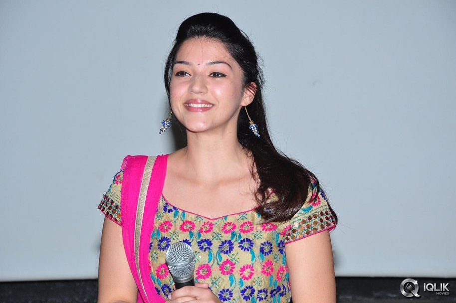 Krishna-Gadi-Veera-Prema-Gaadha-Movie-Success-Tour